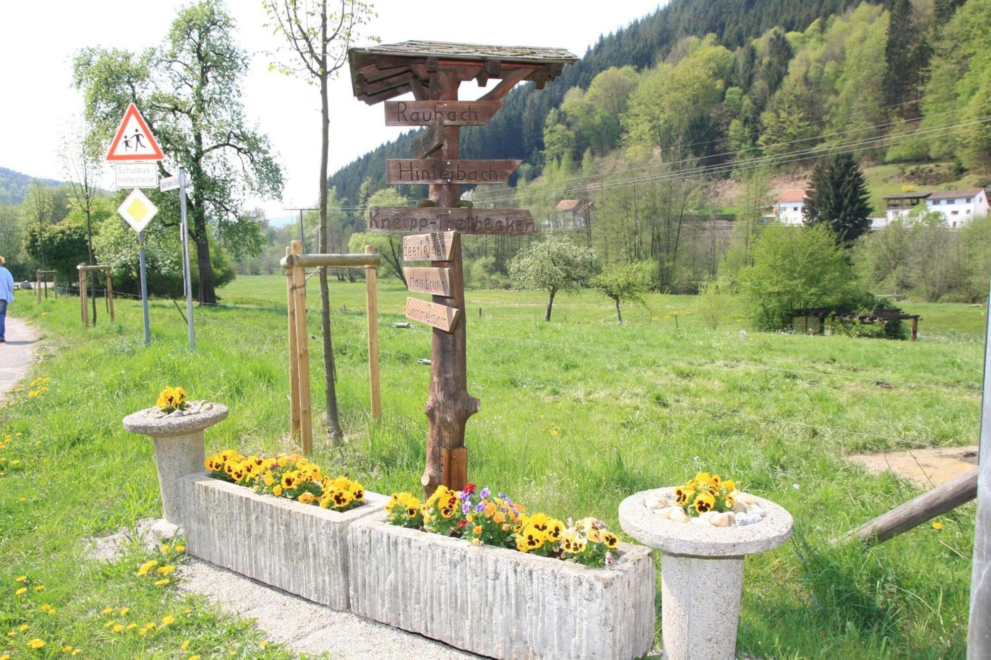 Gasthof Zur Traube Finkenbach ภายนอก รูปภาพ