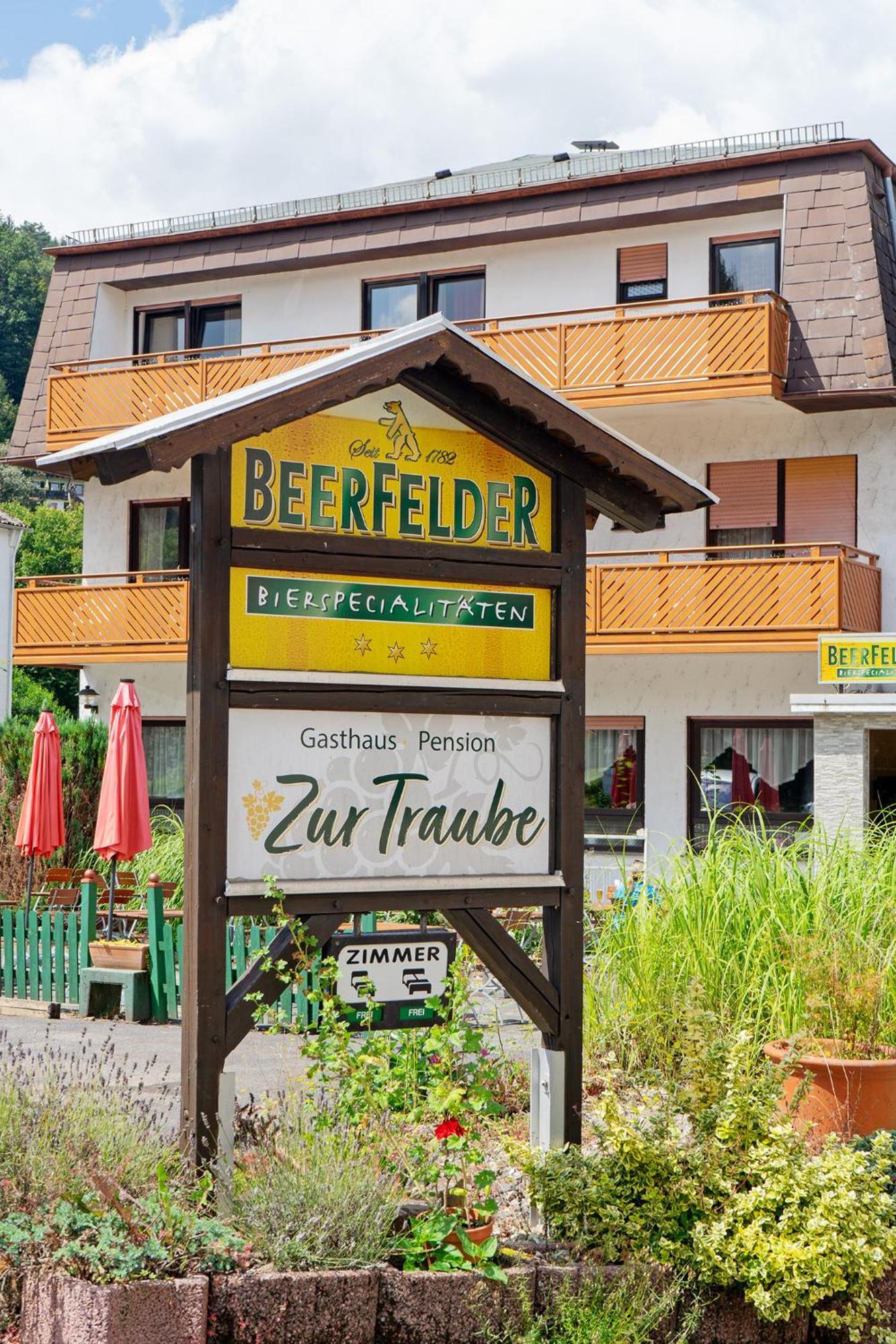 Gasthof Zur Traube Finkenbach ภายนอก รูปภาพ